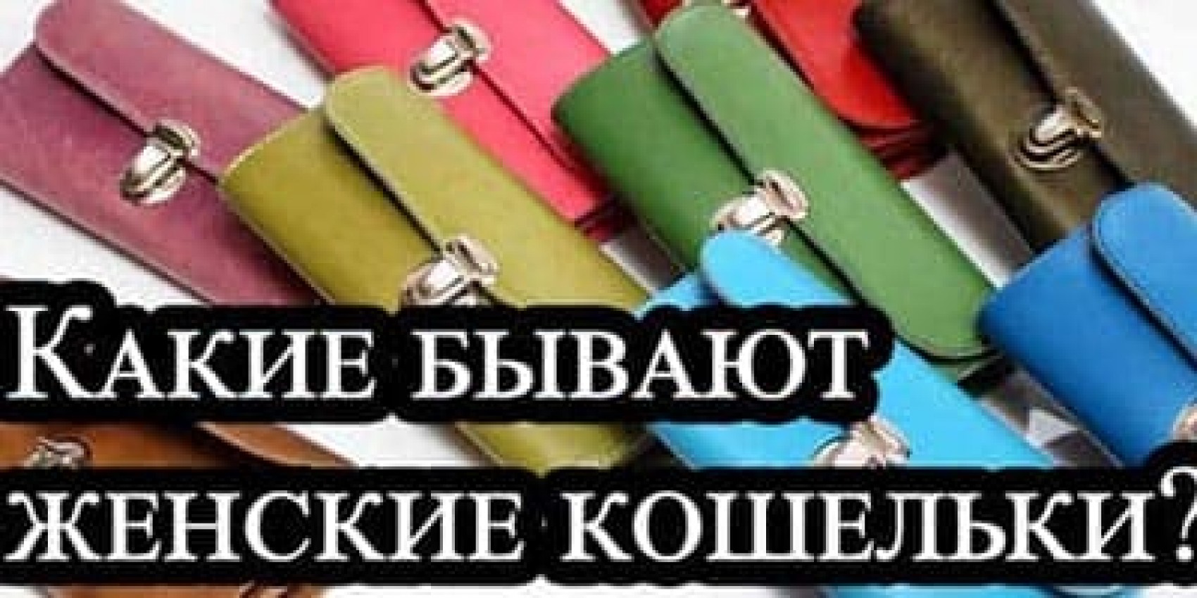 Які бувають жіночі гаманці?