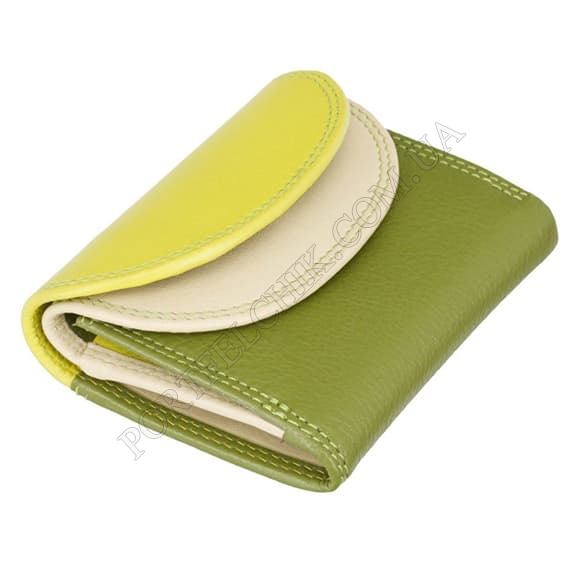 Жіноче портмоне Visconti RB-126 Lime зелений, кольорові (Код. 15062-01) головне фото