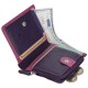 Женское портмоне Visconti RB112 Chile Berry Multi мультиколор (Код. 18780-01) дополнительное фото № 1