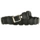 Женский ремень BlankNote BN-BELT-1-G черный (Код. 8421-04) дополнительное фото № 6