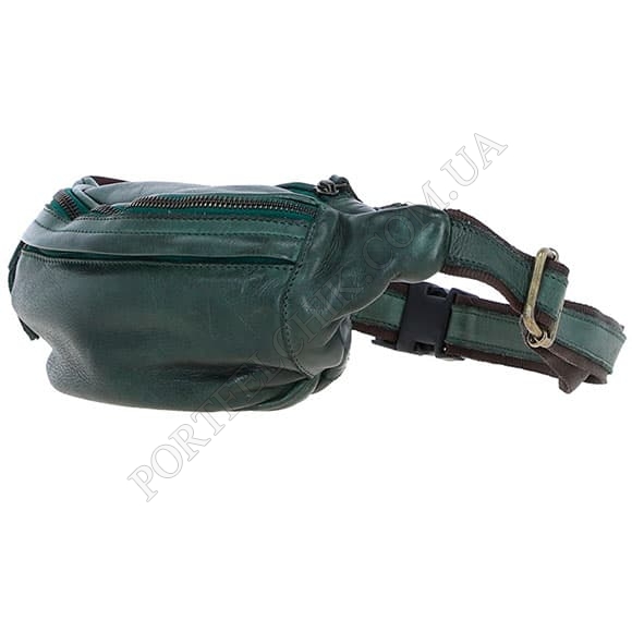 Сумка на пояс Ashwood D102 Green зелений (Код. 18647-01) головне фото