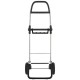 Сумка-тележка Rolser Big Polar 2 Negro черный (Код. 18438-19) дополнительное фото № 1