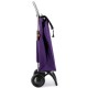 Сумка-візок Rolser I-Max MF 2L More фіолетовий (Код. 18454-19) додаткове фото № 2