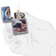 Зажигалка Zippo 24764 Mazzi American Eagle Design (Код. 18594-11) дополнительное фото № 2