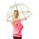 Зонт Fulton L041 Birdcage-1 Silver серый (Код. 9865-01) дополнительное фото № 1