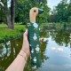 Парасолька Fulton L926 Curio-2 UV Green Duck зелений (Код. 18974-01) додаткове фото № 4