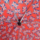 Парасолька Incognito-4 L412 Union Jack Flags мультіколор (Код. 15086-01) додаткове фото № 2