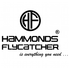Hammonds Flycatcher (Индия) Hammonds Flycatcher (Индия)