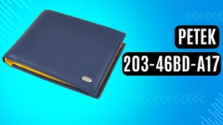 Чоловіче портмоне Petek 203-167-A17 синій, комбінований