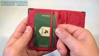 Обложка для автодокументов и id-паспорт Visconti TC-5 Red