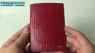 Обложка на паспорт Petek 581-041-10
