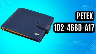 Чоловіче портмоне Petek 102-46BD-A17 синій, комбінований